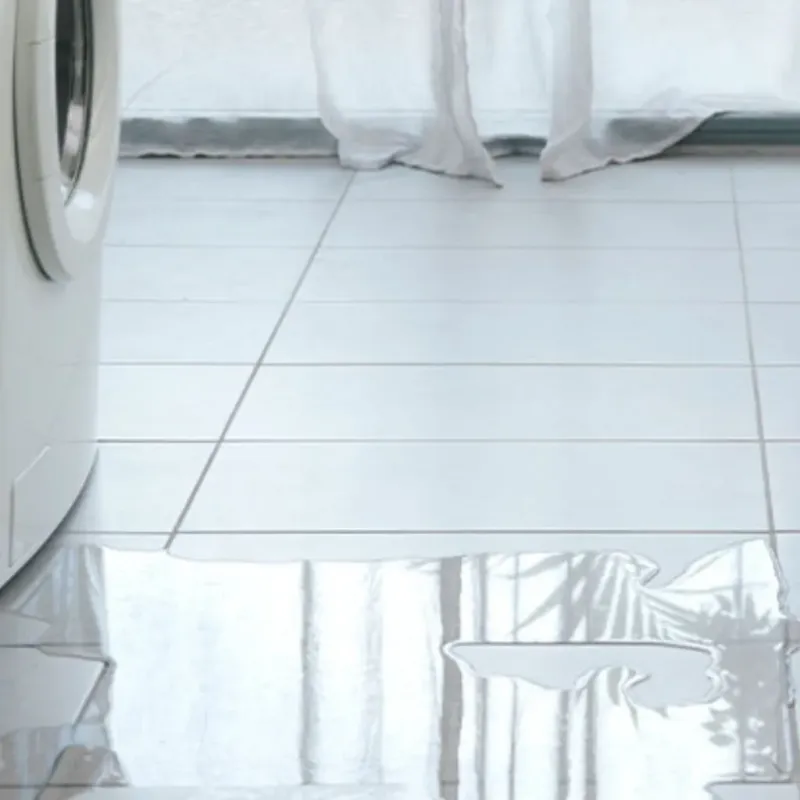 Appliance Leak Cleanup in Cass City, MI