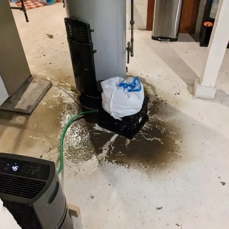 Sewage Backup Cleanup Service in Cass City, MI